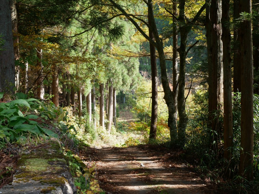 transitioning from wilderness therapy