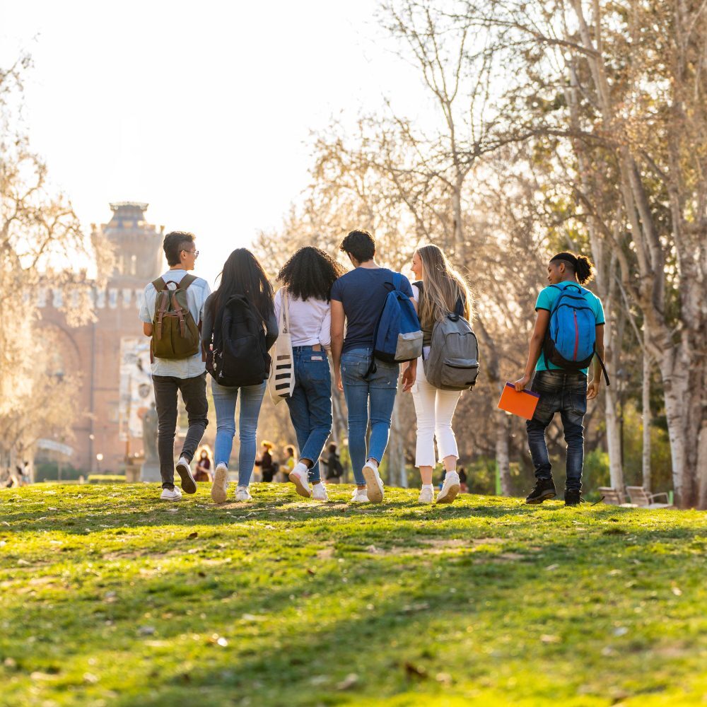 Back view of a row of young multi-ethnic students walking together in the park