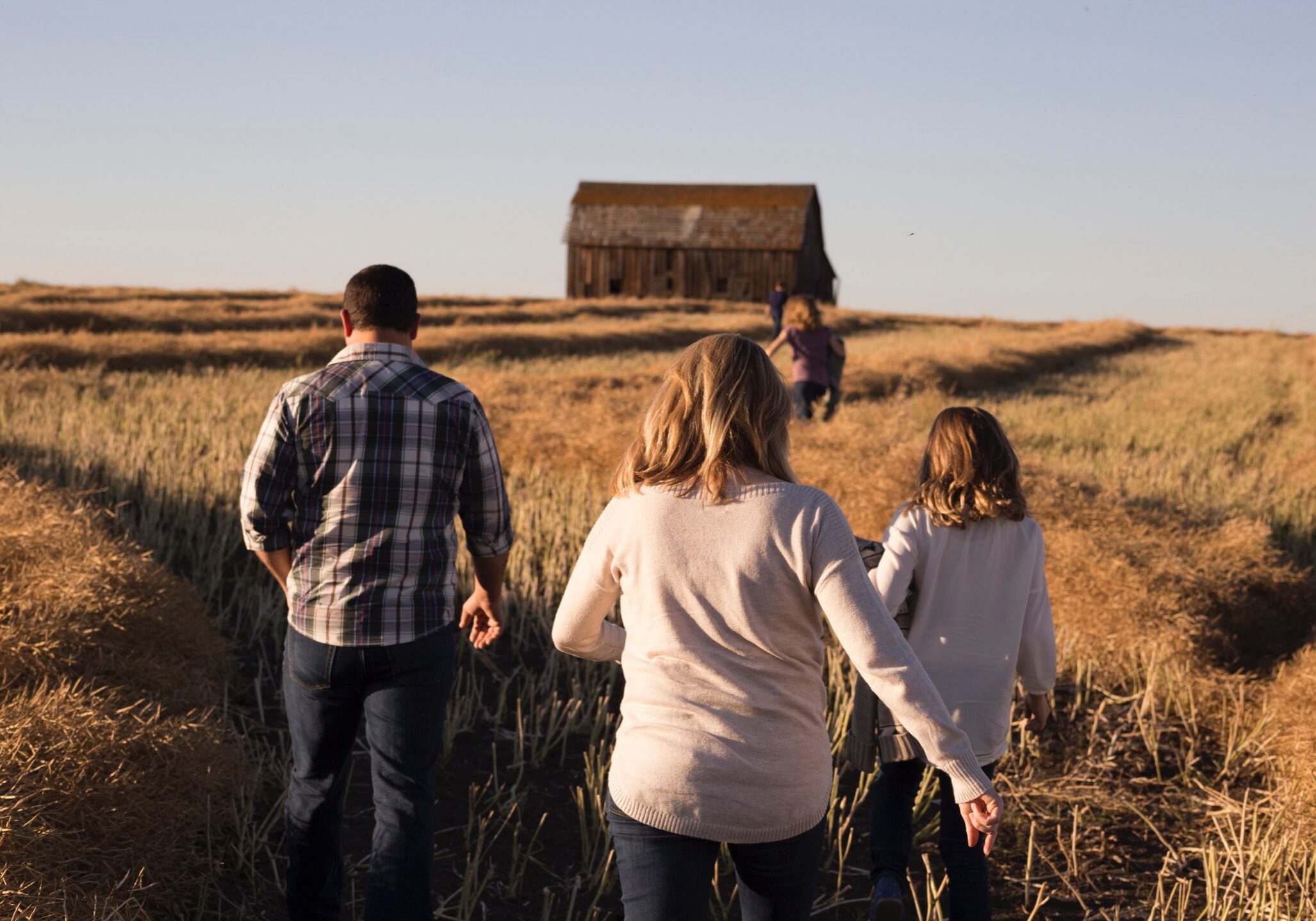 family mental health